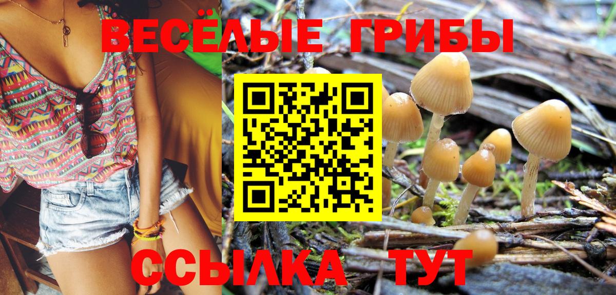 Галлюциногенные грибы мицелий Вятские Поляны